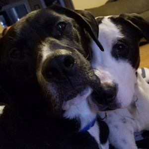 Meet your Posher, Jeannine